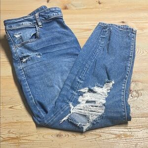 American Eagle Outfitters Blue Distressed Ankle Jeans